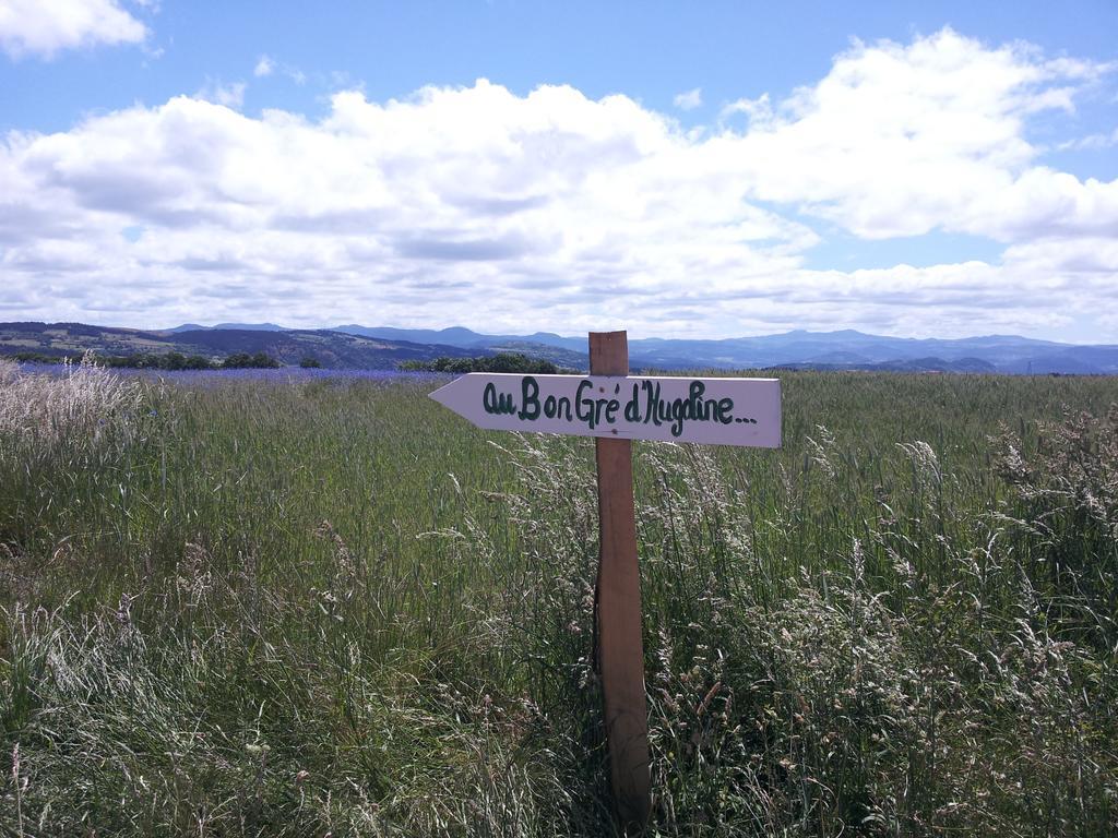 Bed and Breakfast Au Bon Gre D'Hugoline Blanzac  Exterior foto