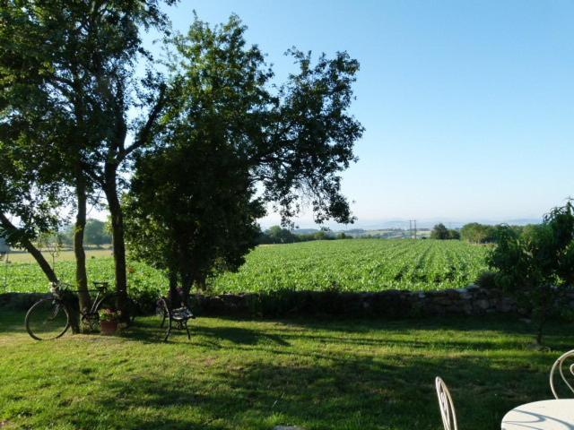 Bed and Breakfast Au Bon Gre D'Hugoline Blanzac  Exterior foto